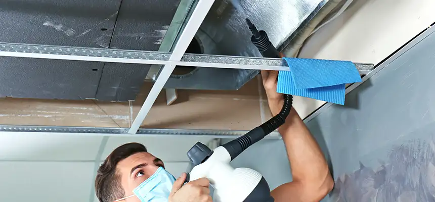 Our Air Duct Rodent Removal Services in Pasadena, MD