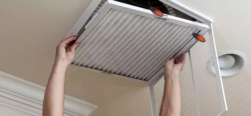 Our Insect Removal from Air Ducts Services in Pasadena, MD