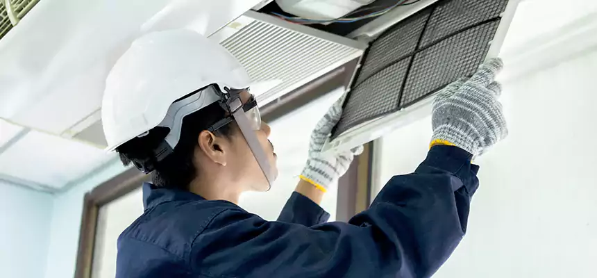 Our Mold & Mildew Removal from Air Ducts Services in Pasadena, MD