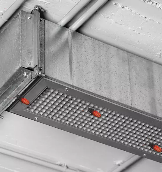 About Air Duct Cockroach Removal in Pasadena, MD