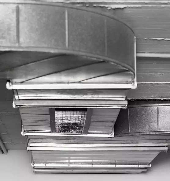 Professional Air Duct Pet Hair Removal in Pasadena, MD