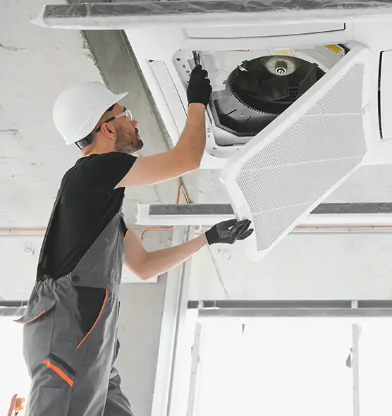 About Air Duct Rodent Removal in Pasadena, MD