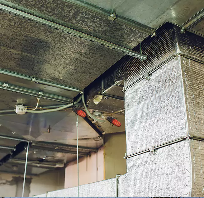 Why Homeowners & Businesses Trust Us Pasadena, MD?